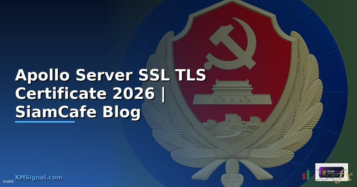 Apollo Server SSL TLS Certificate