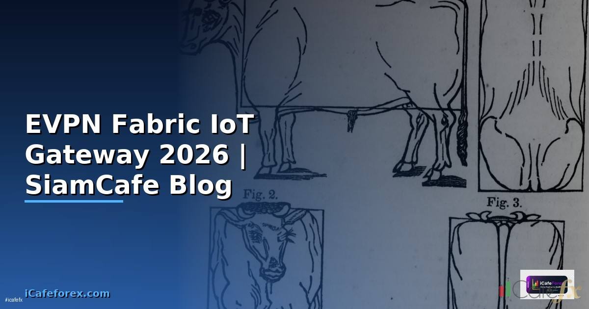 EVPN Fabric IoT Gateway — คู่มือฉบับสมบูรณ์ 2026