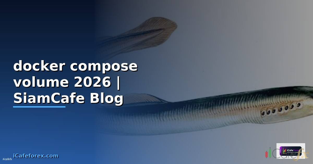 docker compose volume คือ