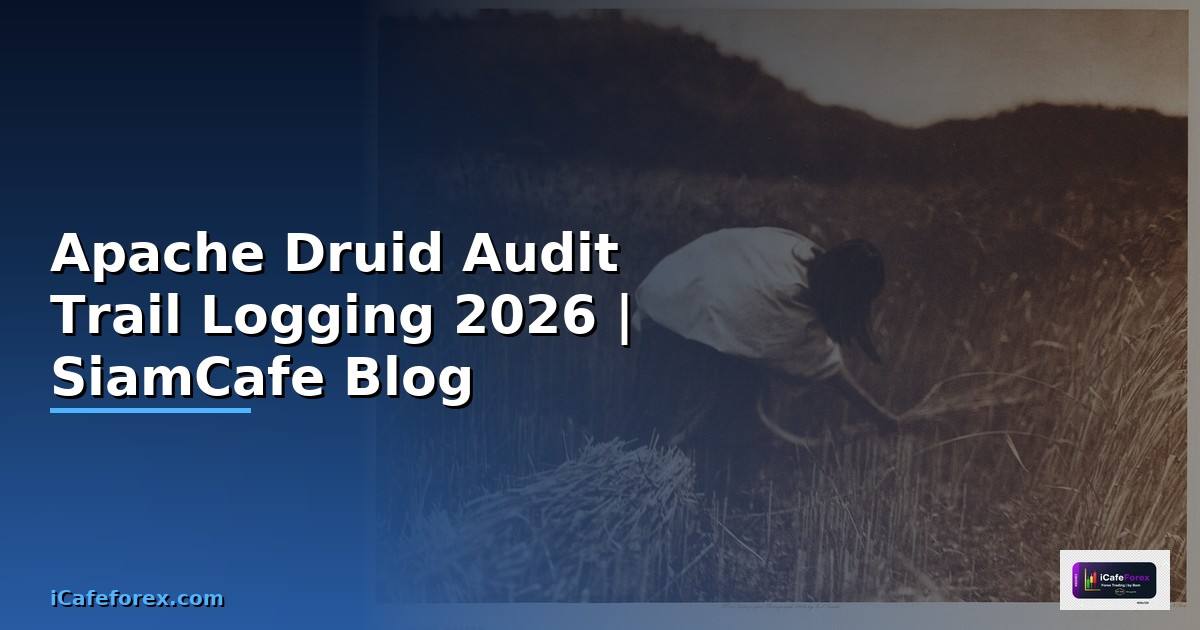Apache Druid Audit Trail Logging