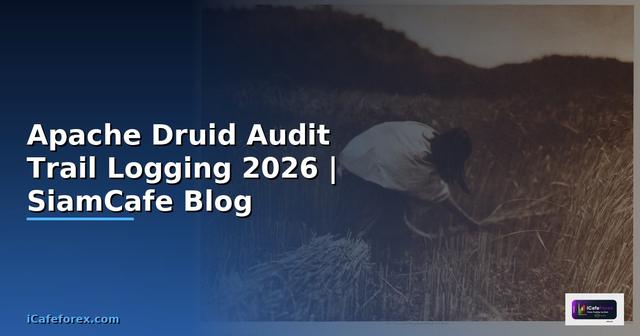 Apache Druid Audit Trail Logging