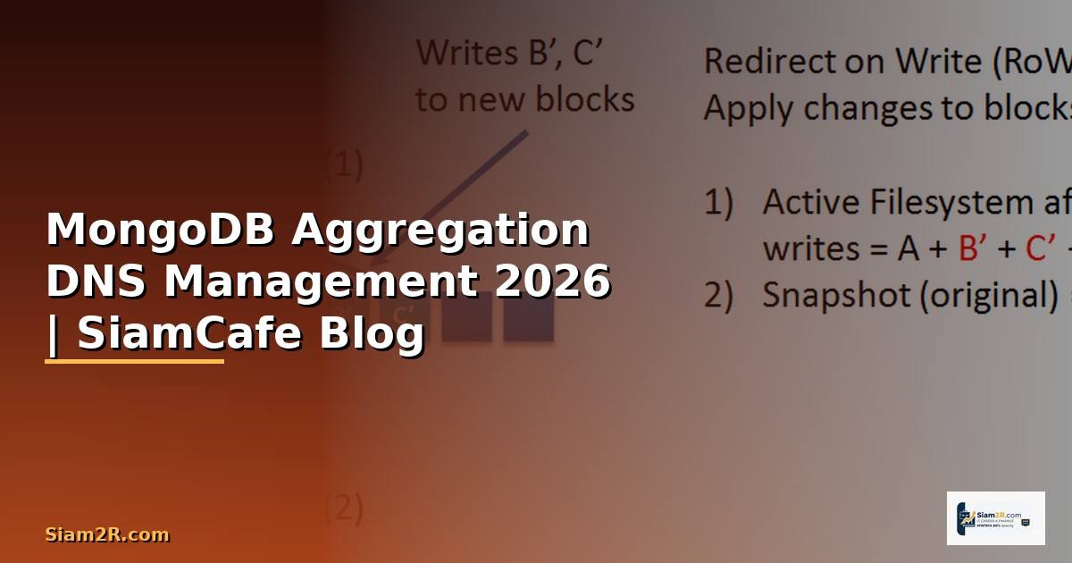 MongoDB Aggregation DNS Management