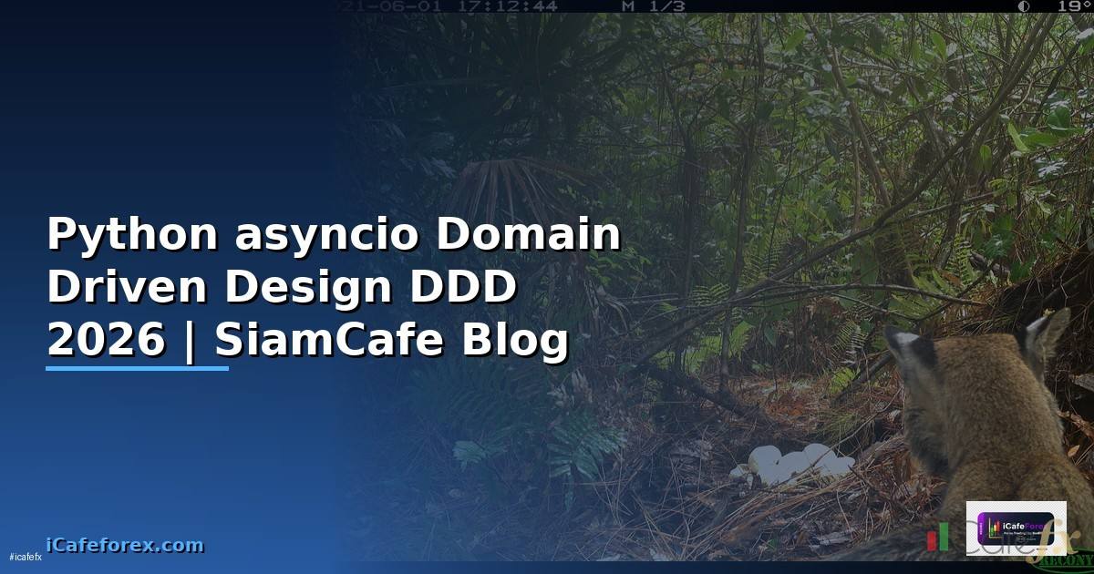 Python asyncio Domain Driven Design DDD