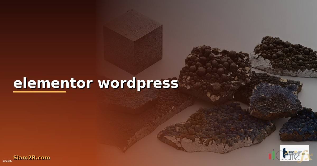 elementor wordpress คือ —