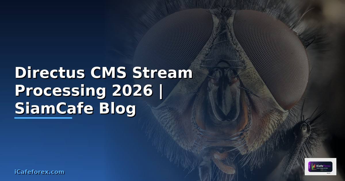 Directus CMS Stream Processing — คู่มือฉบับสมบูรณ์ 2026