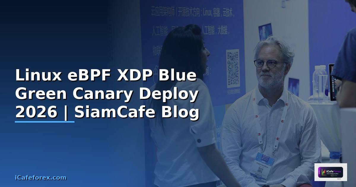 Linux eBPF XDP Blue Green Canary Deploy