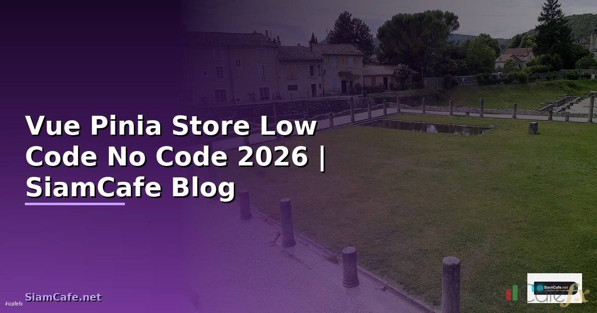 Vue Pinia Store Low Code No Code
