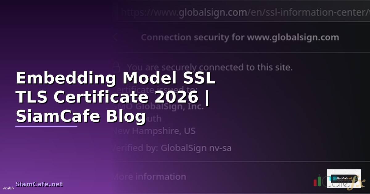 Embedding Model SSL TLS Certificate