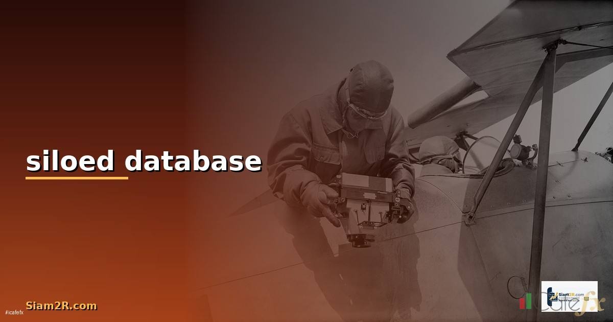 siloed database คือ — วิธีตั้งค่าและใช้งานจริงพร้อมตัวอย่าง