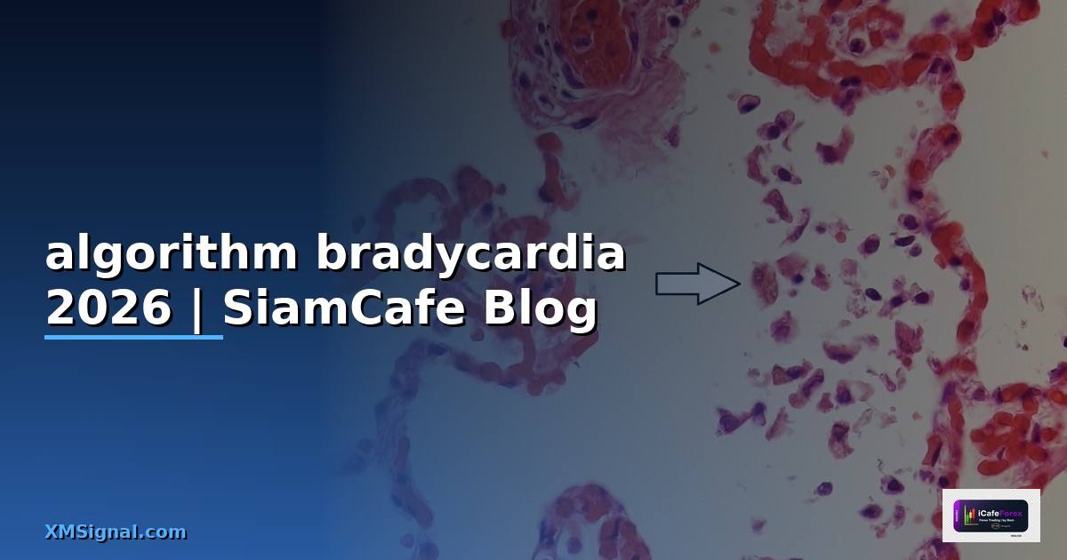 algorithm bradycardia คือ — คู่มือฉบับสมบูรณ์ 2026