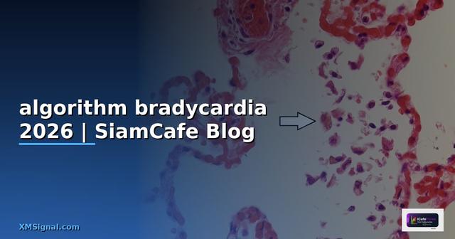 algorithm bradycardia คือ — คู่มือฉบับสมบูรณ์ 2026