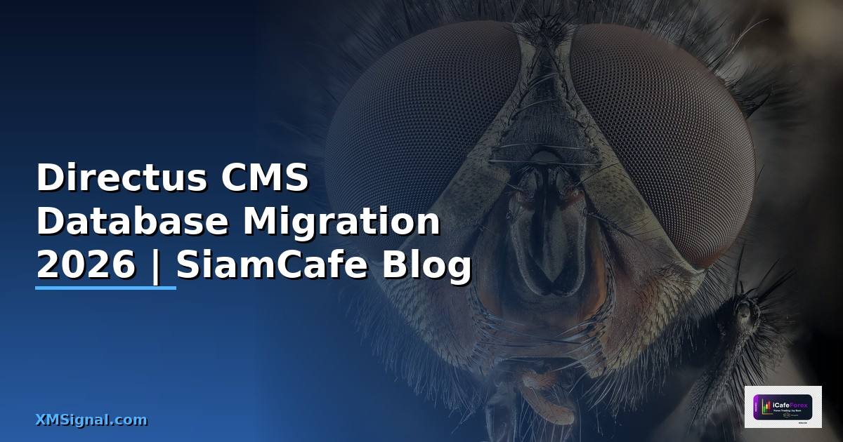 Directus CMS Database Migration