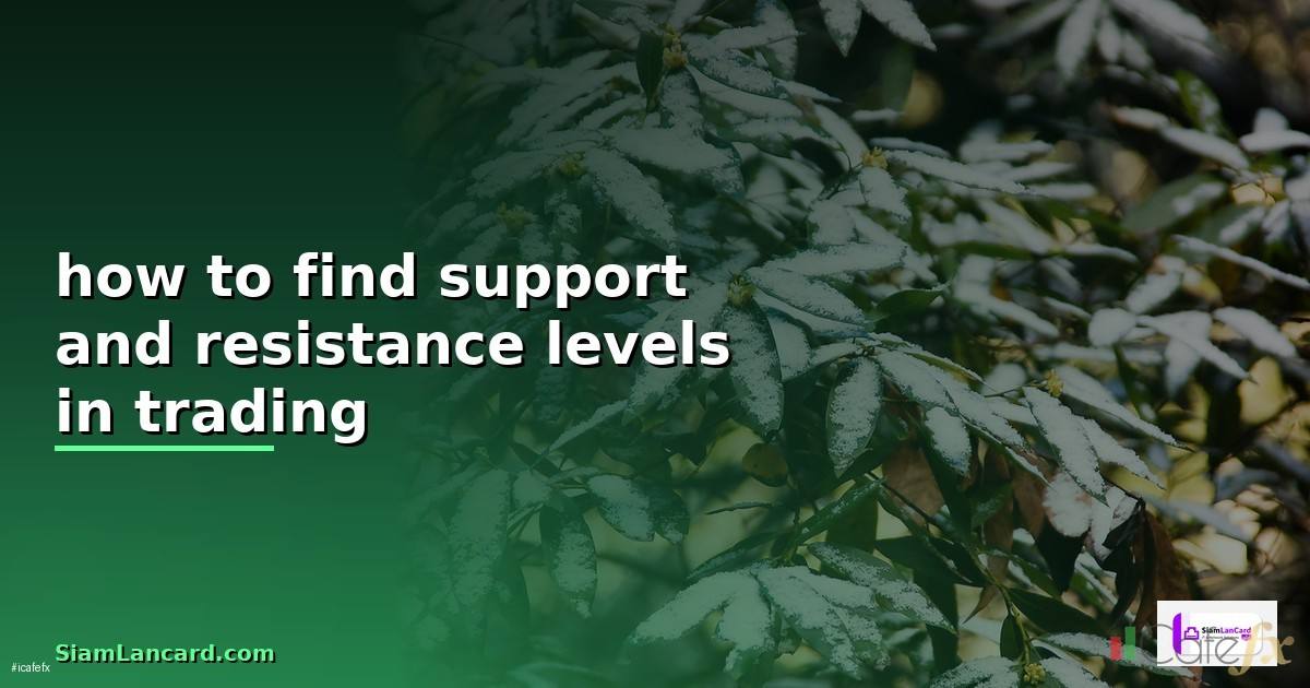 how to find support and resistance levels —