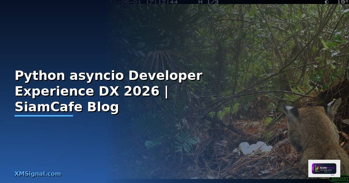 Python asyncio Developer Experience DX