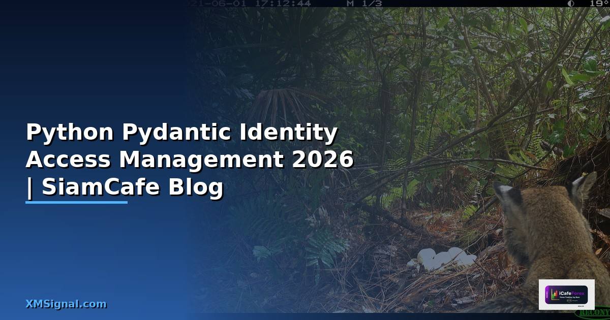 Python Pydantic Identity Access Management