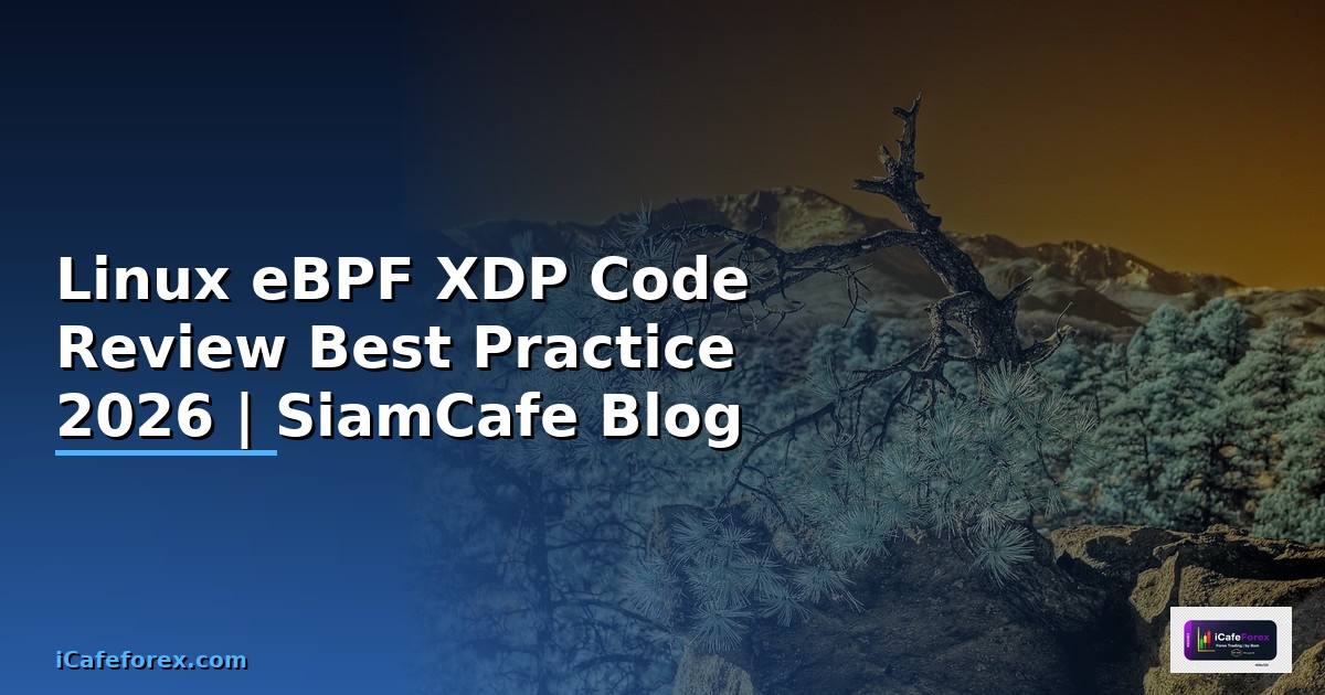 Linux eBPF XDP Code Review Best Practice