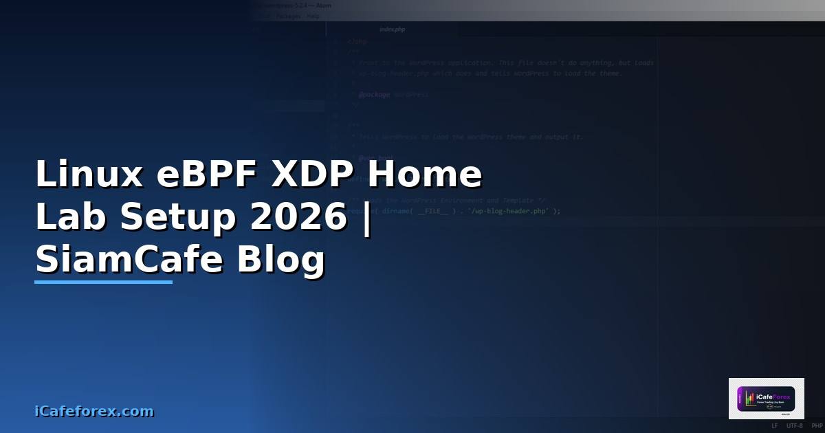 Linux eBPF XDP Home Lab Setup