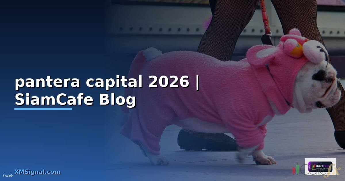 pantera capital — ข้อมูลครบถ้วน 2026