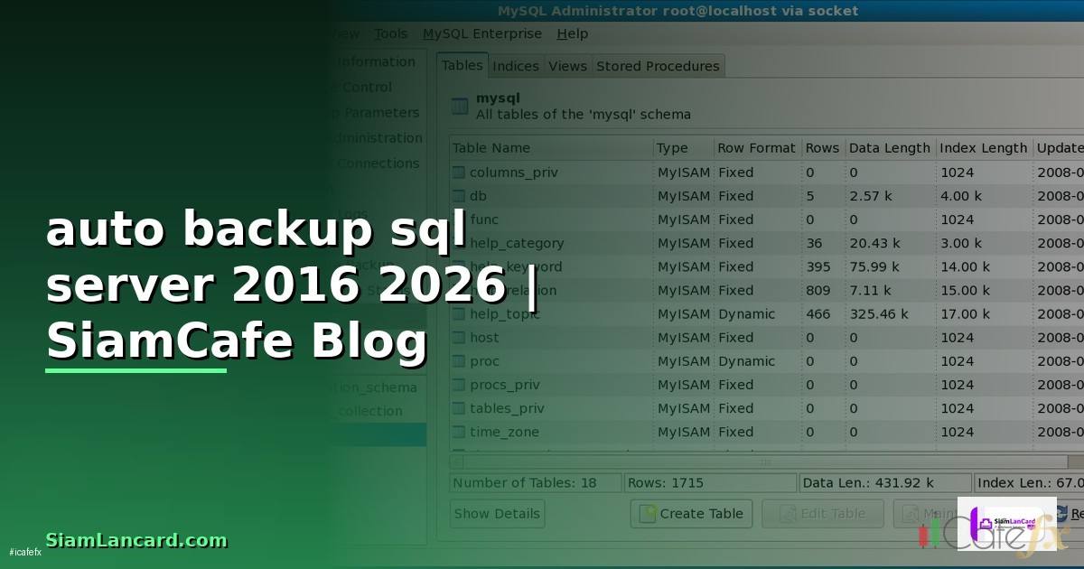 auto backup sql server 2016