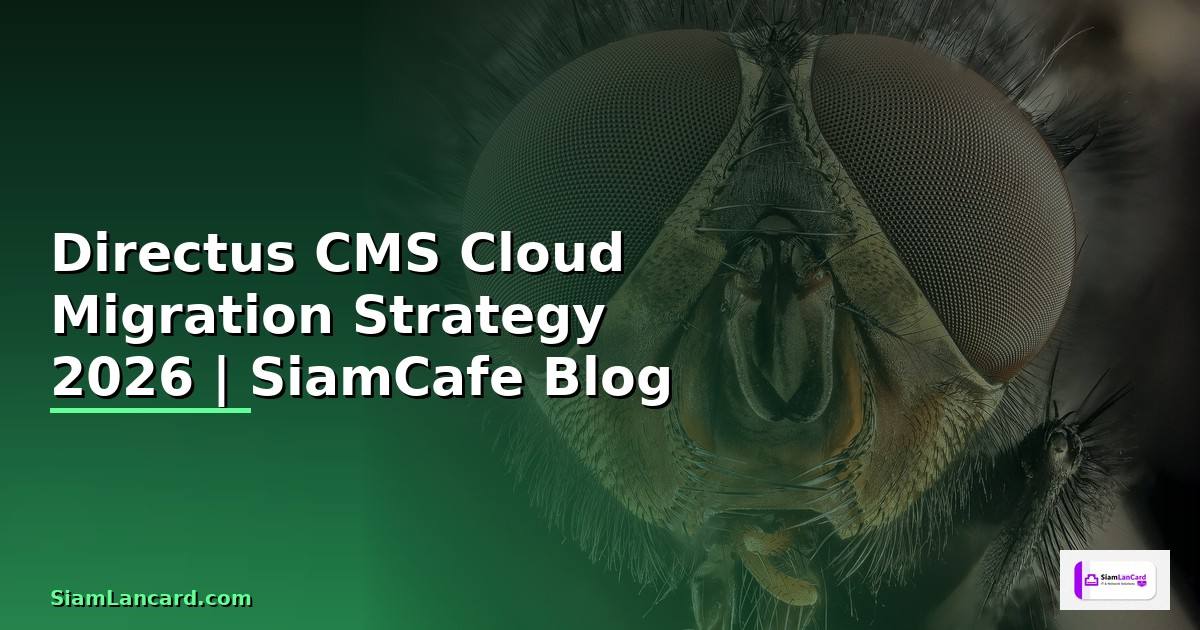 Directus CMS Cloud Migration Strategy