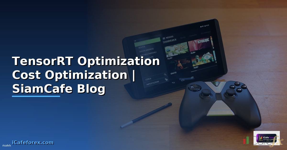 TensorRT Optimization Cost Optimization