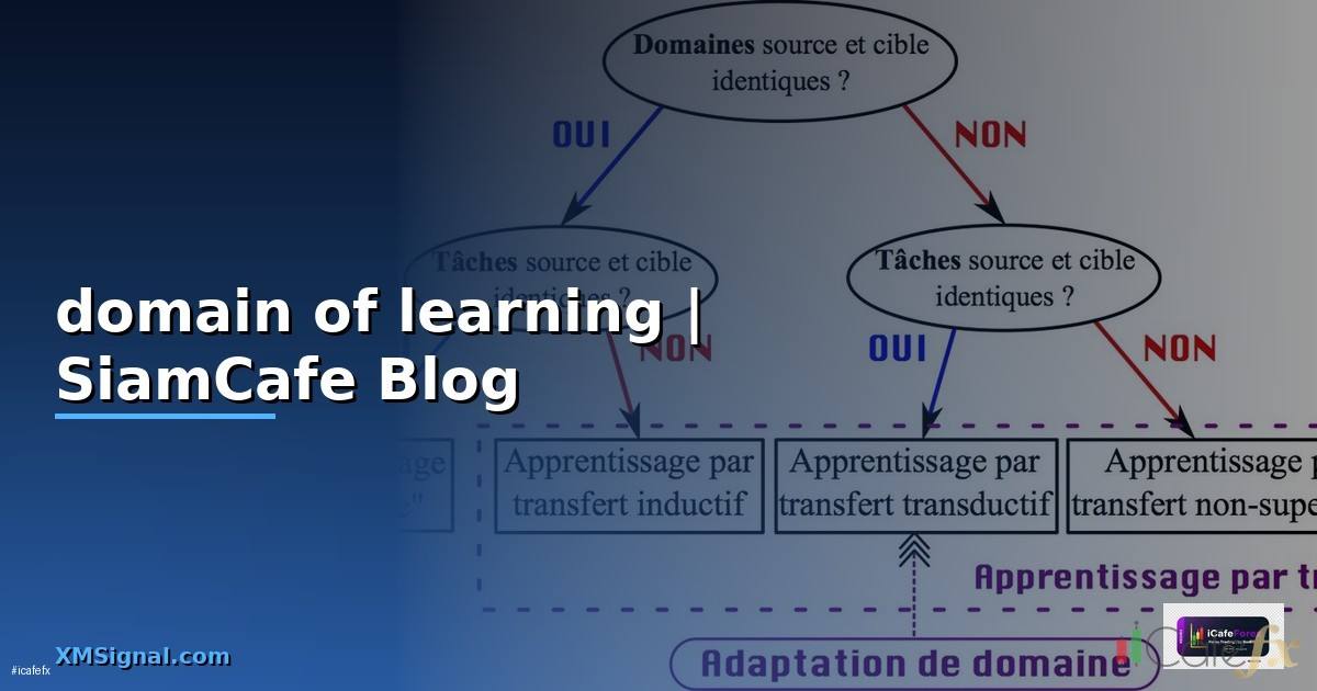 domain of learning คือ