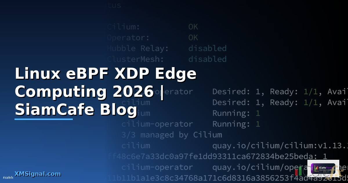 Linux eBPF XDP Edge Computing