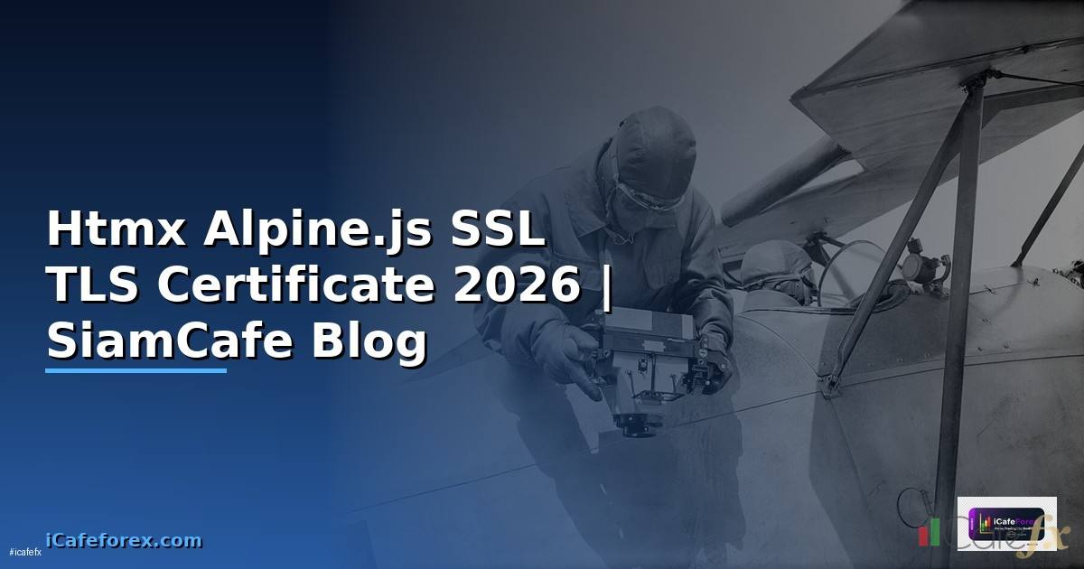 Htmx Alpine.js SSL TLS Certificate