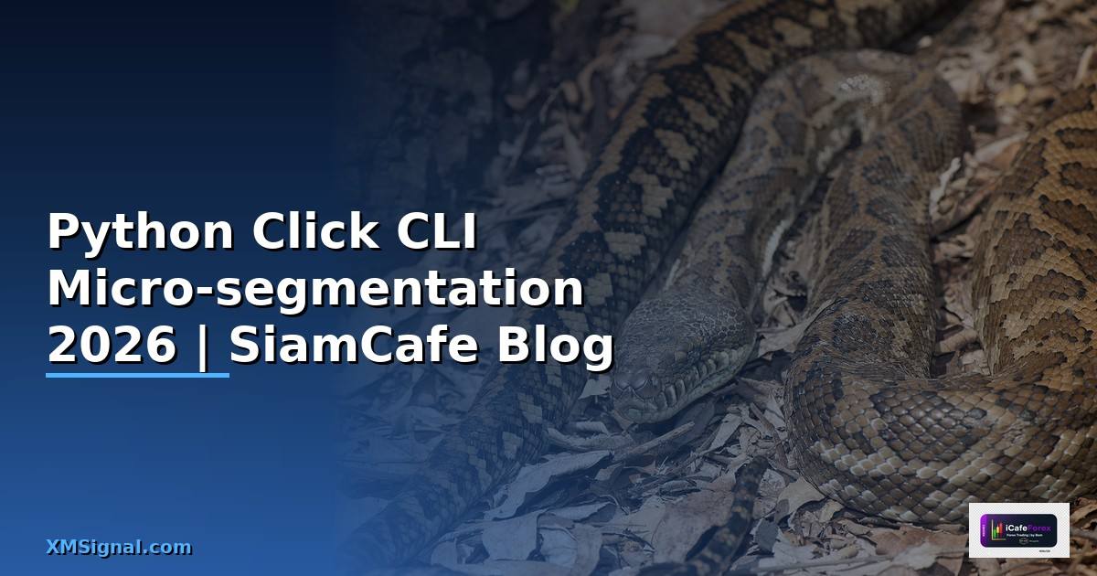 Python Click CLI Micro-segmentation