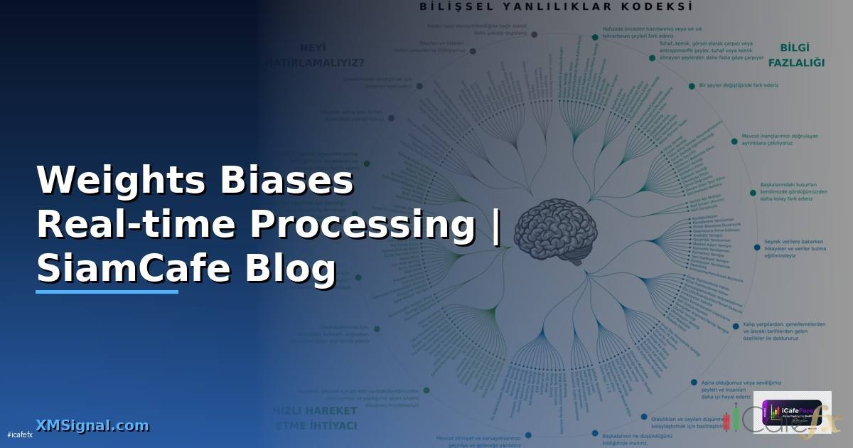 Weights Biases Real-time Processing