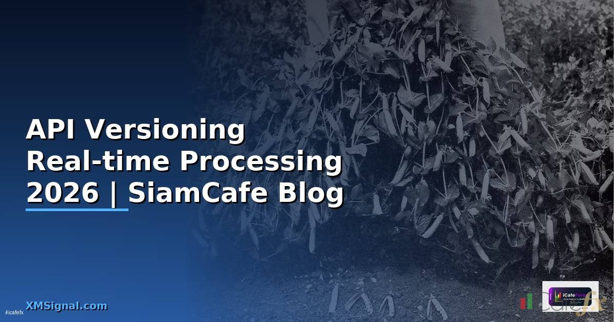 API Versioning Real-time Processing