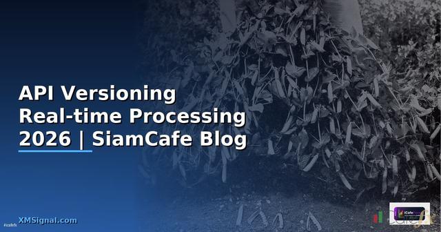 API Versioning Real-time Processing