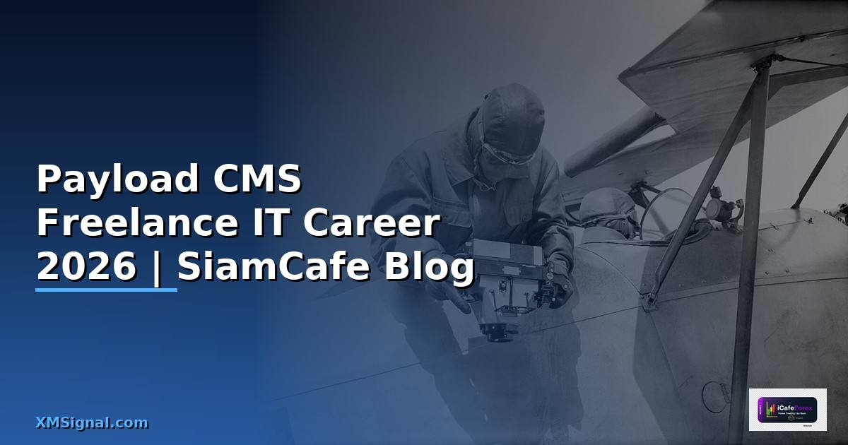 Payload CMS Freelance IT Career
