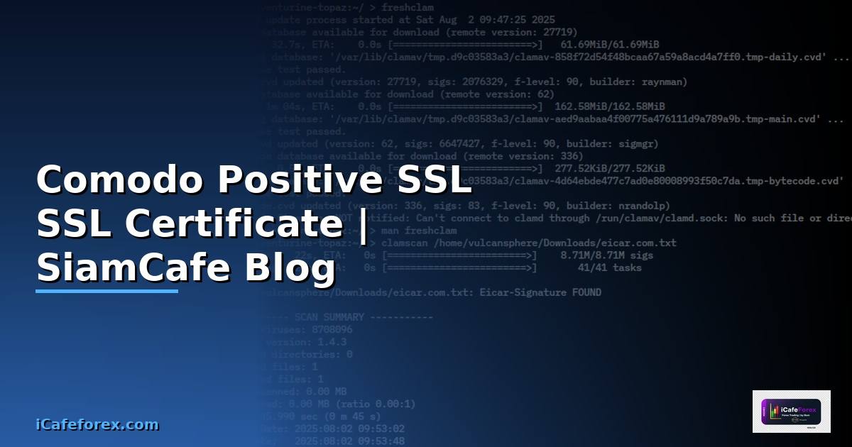 Comodo Positive SSL คือ  SSL Certificate สำหรับเว็บไซตธุรกิจ