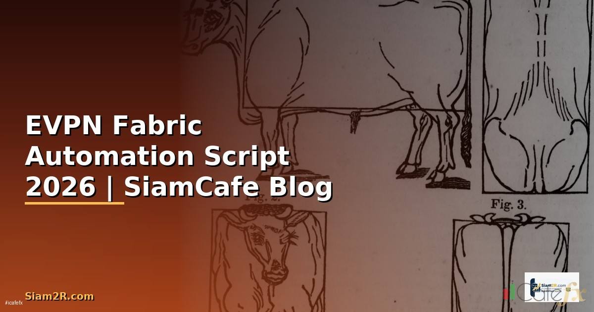 EVPN Fabric Automation Script — คู่มือฉบับสมบูรณ์ 2026