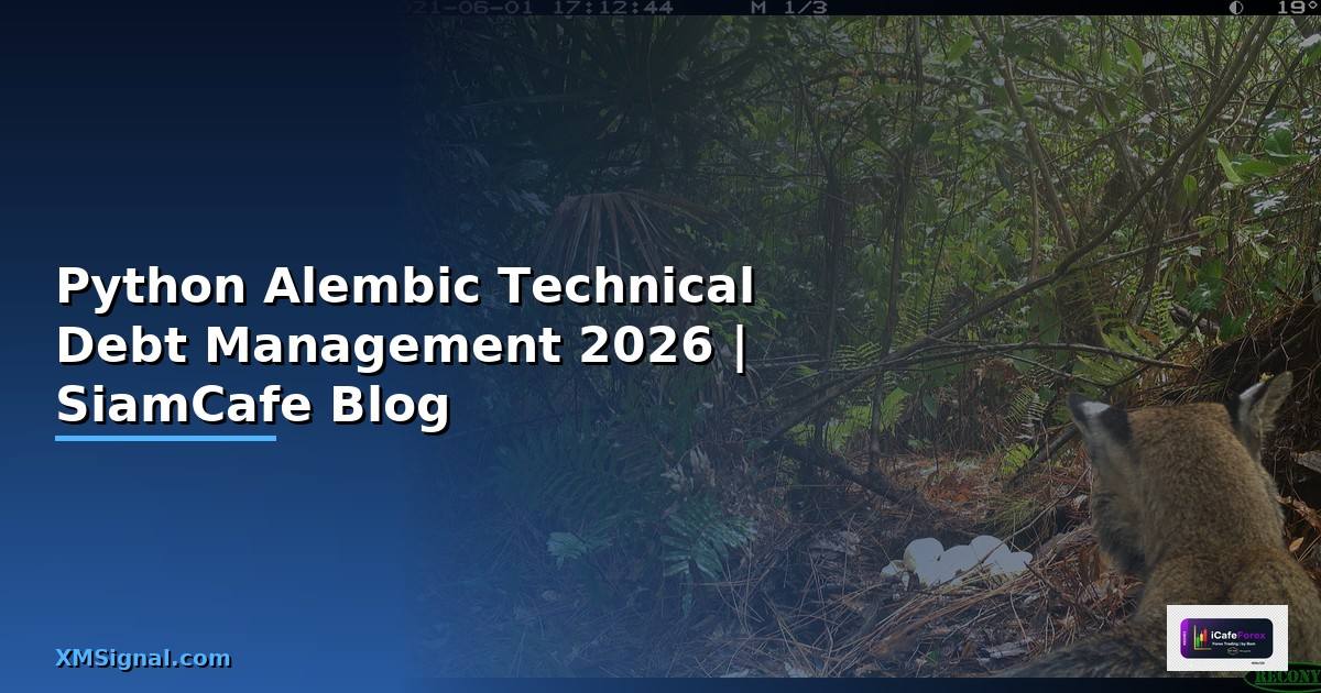 Python Alembic Technical Debt Management