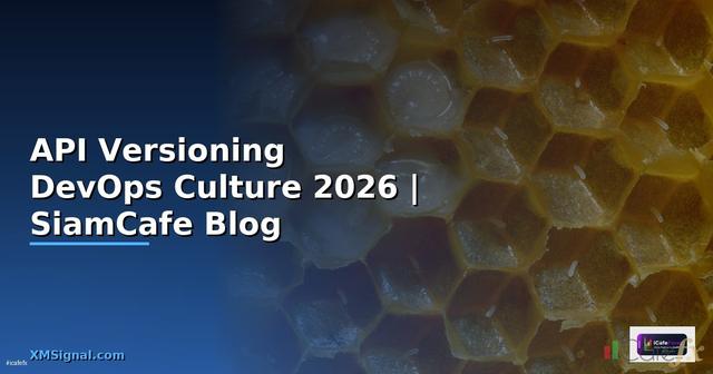 API Versioning DevOps Culture