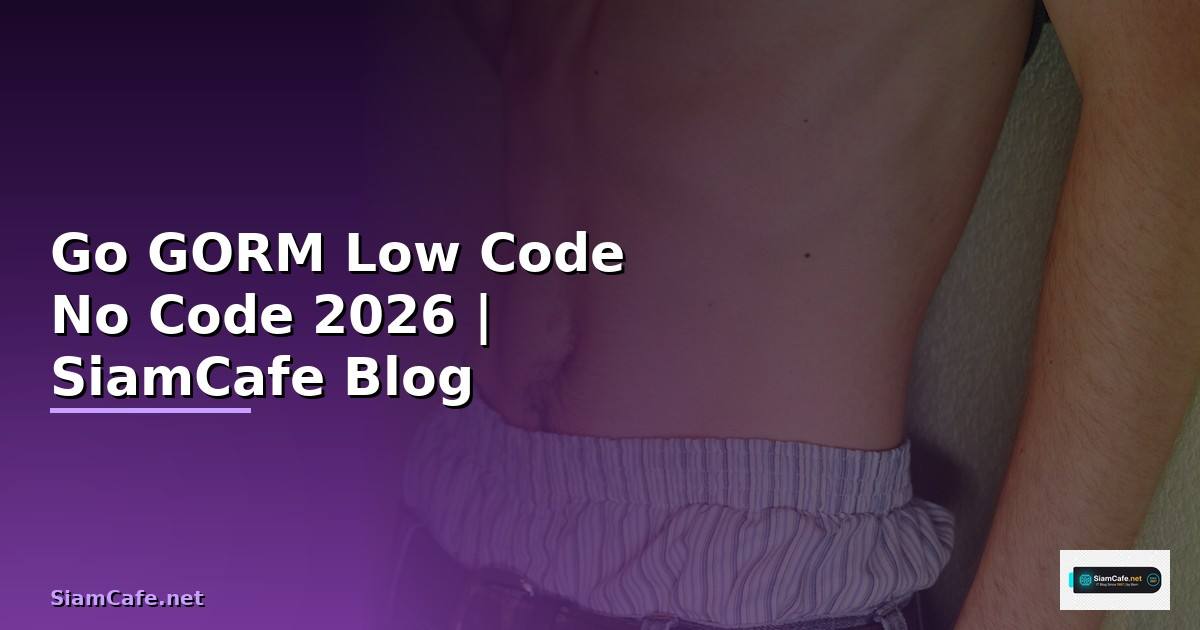 Go GORM Low Code No Code
