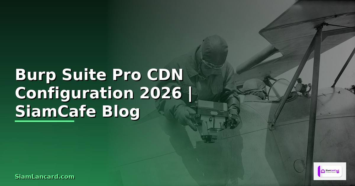 Burp Suite Pro CDN Configuration