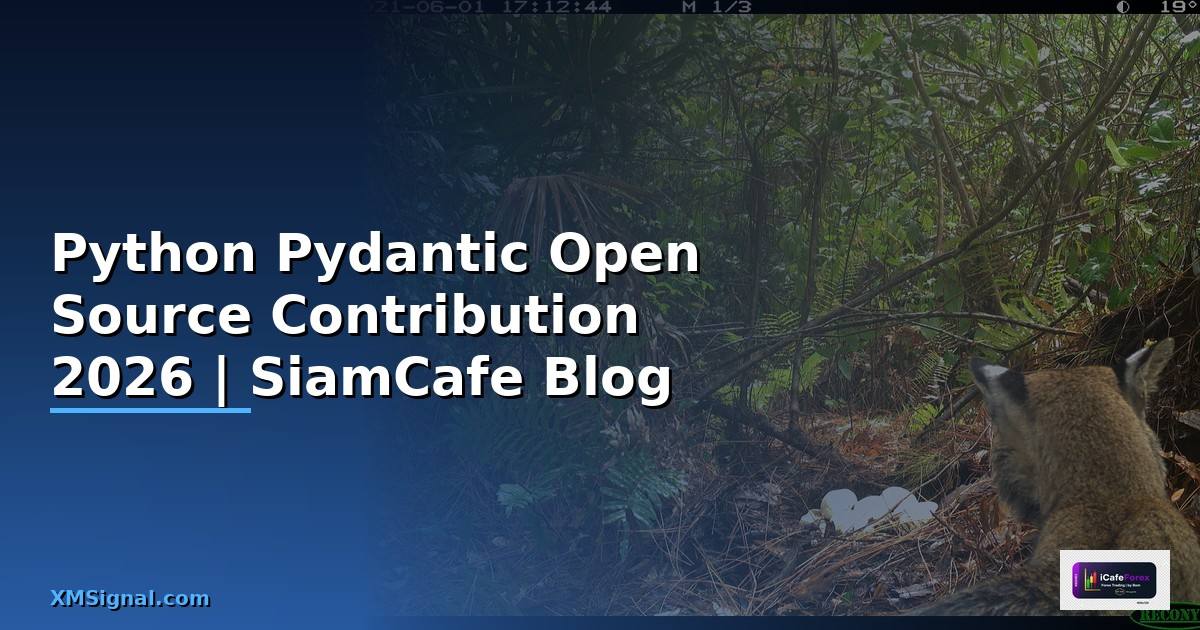 Python Pydantic Open Source Contribution
