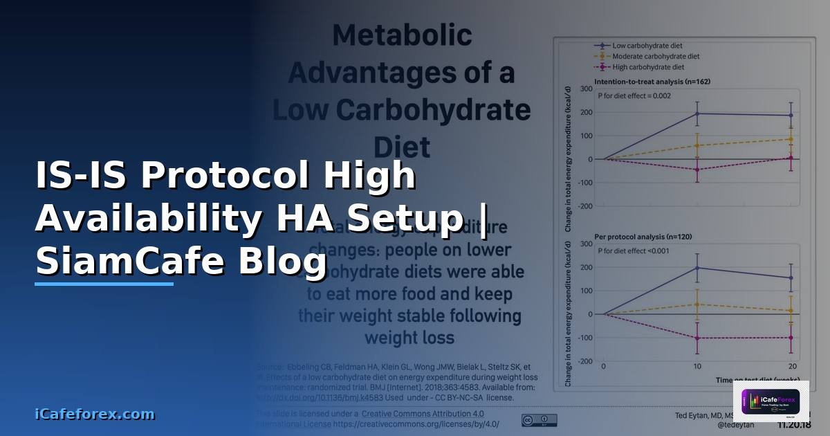 IS-IS Protocol High Availability HA Setup