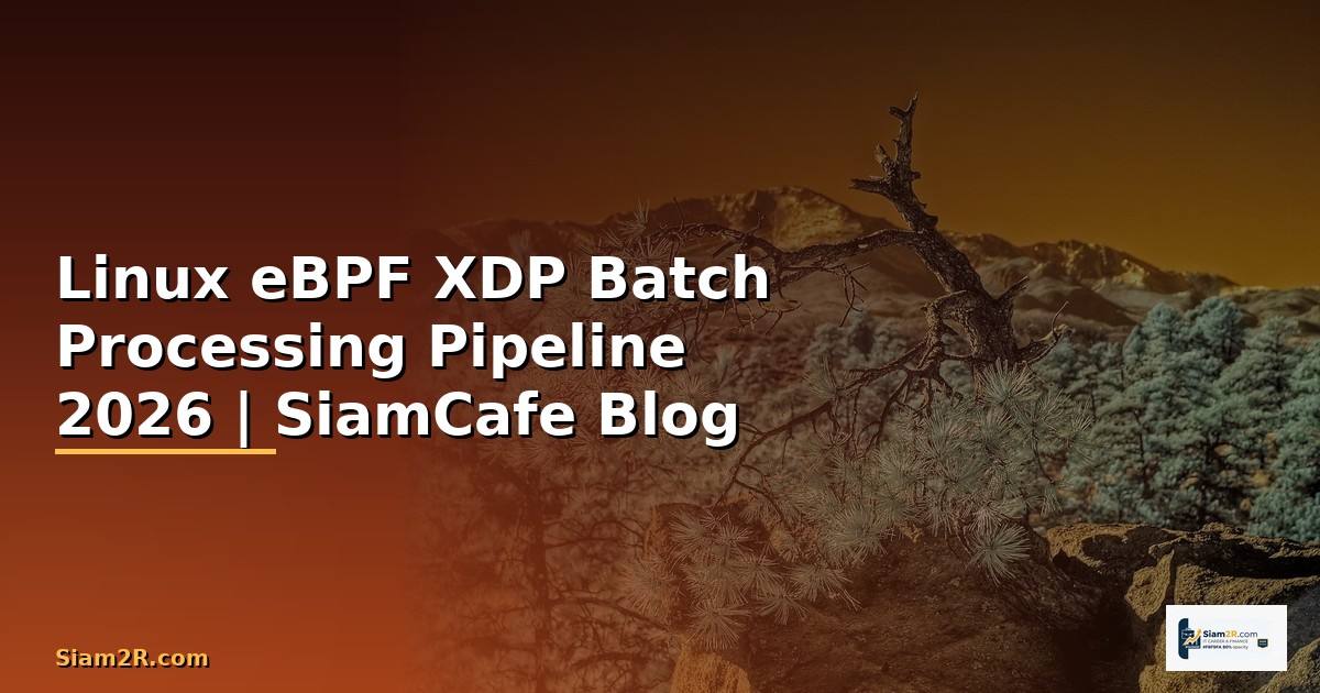 Linux eBPF XDP Batch Processing Pipeline