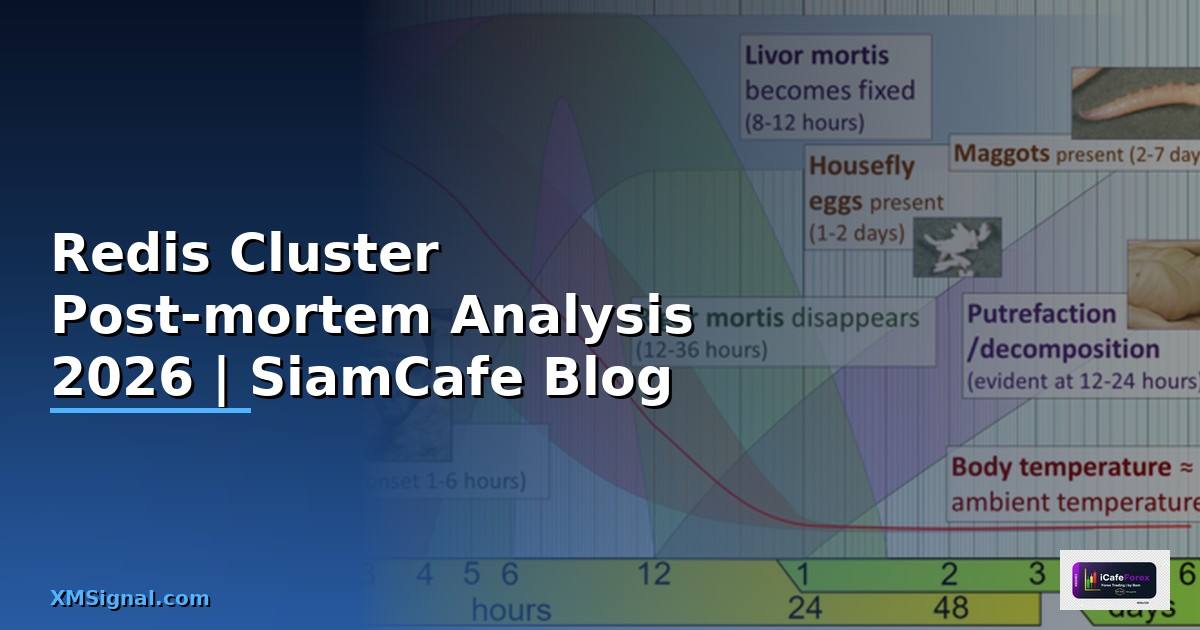 Redis Cluster Post-mortem Analysis