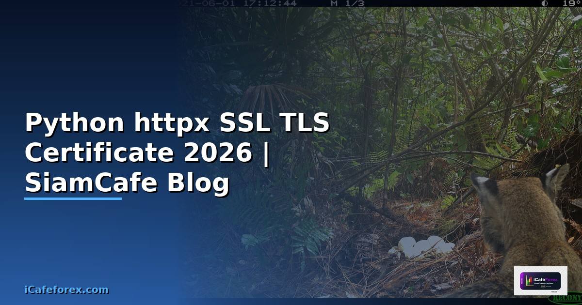 Python httpx SSL TLS Certificate