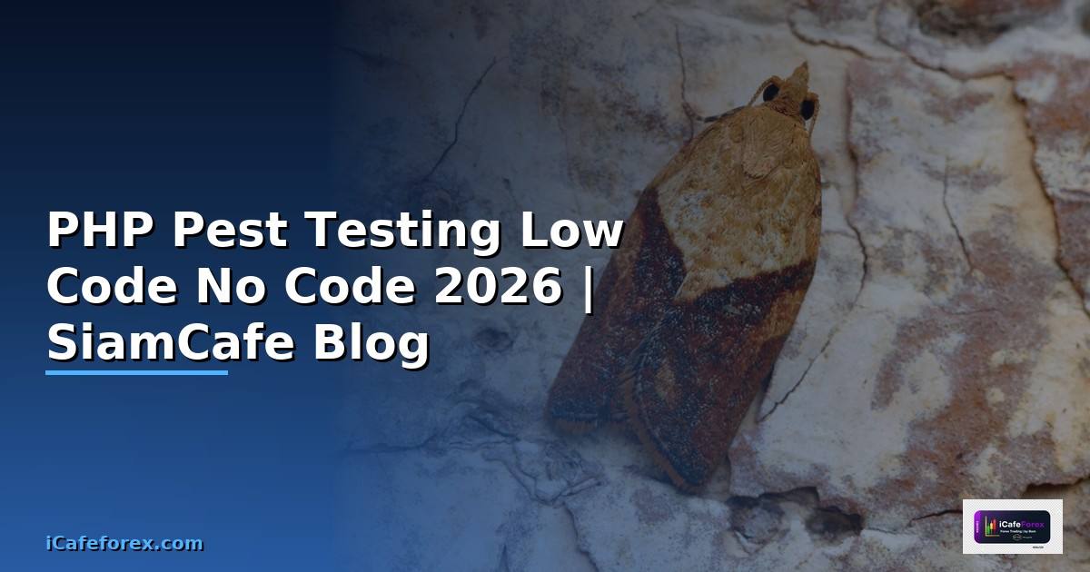 PHP Pest Testing Low Code No Code