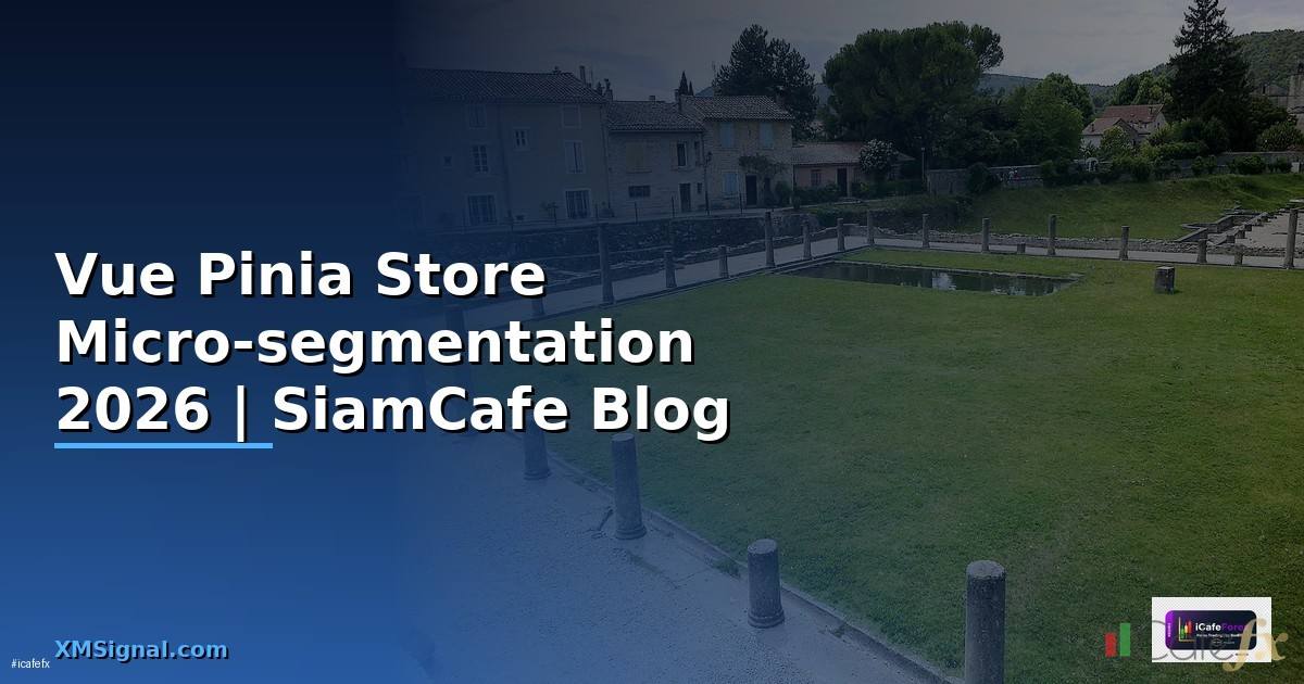 Vue Pinia Store Micro-segmentation