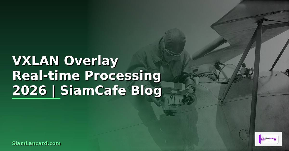 VXLAN Overlay Real-time Processing