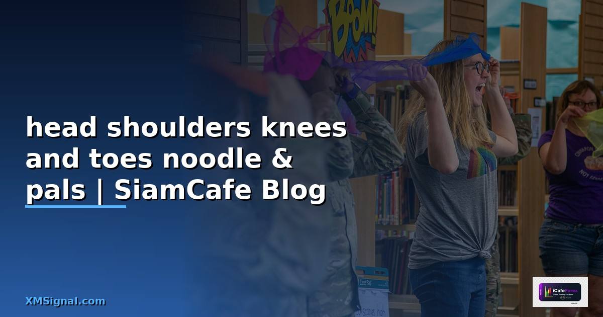 head shoulders knees and toes noodle &amp; pals