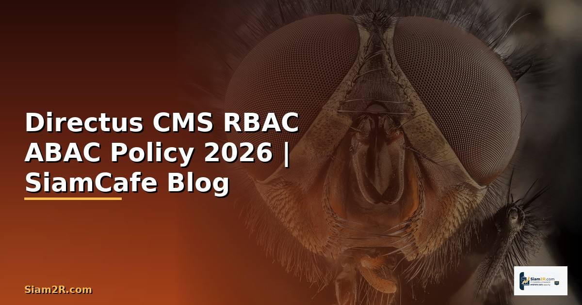 Directus CMS RBAC ABAC Policy