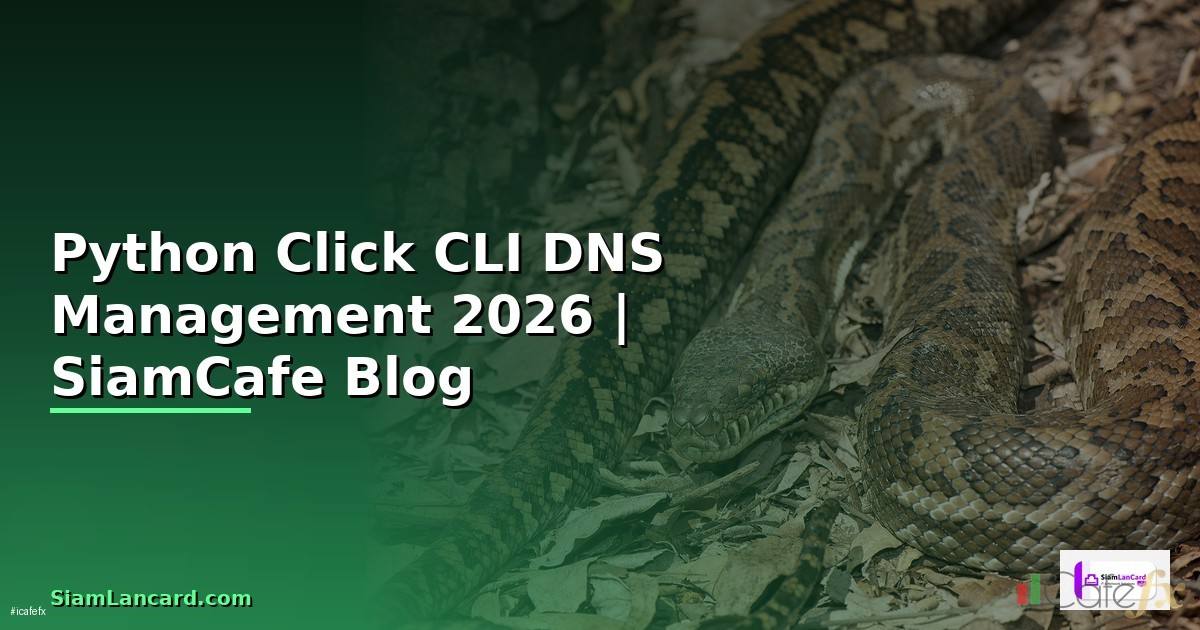 Python Click CLI DNS Management